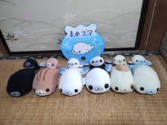 m20913045012_1.jpg?1732506717