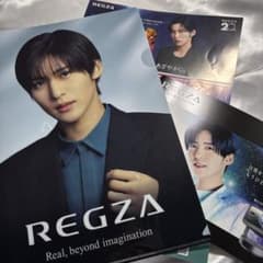 REGZA クリアファイル ・パンフレット　目黒蓮のサムネイル