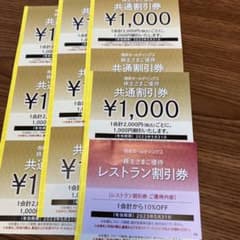 のんのん様専用西武ホールディングス株主優待　共通割引券のサムネイル