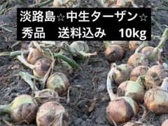 淡路島産 玉ねぎ　秀品　ターザン10kg 送料込みのサムネイル