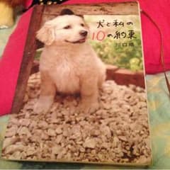犬と私の10の約束のサムネイル
