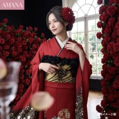 逸品 振袖8点フルセット 赤 黒 牡丹 藤 菊 波箔帯 成人式 前撮り 正絹