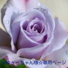 ☆ゆぅーちゃん様☆専用ページ☆ですのサムネイル