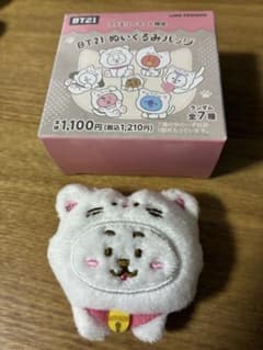 BT21 패밀리 마트 한정 봉제인형 배지 RJ