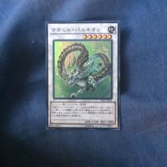 ナチュルパルキオンのサムネイル