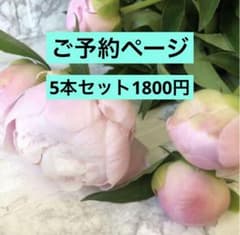 シャクヤク切り花5本セット［10名］ シャクヤク切り花5本セット［10名］ - メルカリ