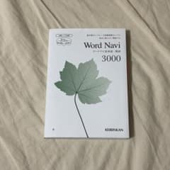 W1ワードナビ3000のサムネイル