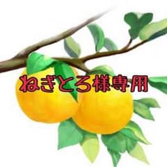 ねぎとろ様専用のサムネイル