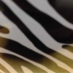 専用のサムネイル