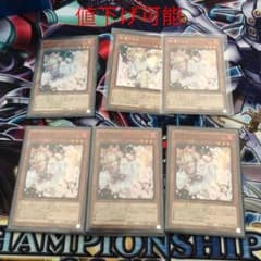 遊戯王 灰流うらら　　専用のサムネイル