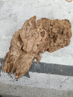 天然木 瘤木 コブ材 流木 オブジェ 飾り台