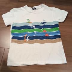 klädskåp 　海の生き物 　メンダコ　Tシャツ 130cmのサムネイル