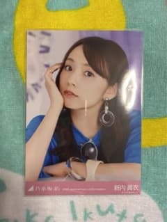 乃木坂46 新内眞衣 結成10周年 生写真レア 座りヒジのサムネイル