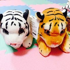 ☆@たま吉様☆専用‼︎のサムネイル