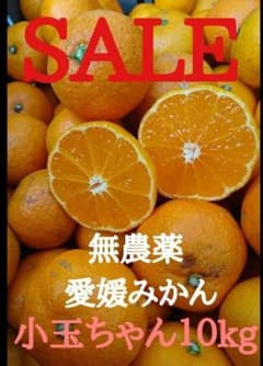 Sale!! 愛媛県産 無農薬みかん(南柑20号)１０kgのサムネイル