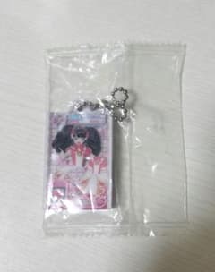 プリパラ ガァルル だれでもアクリルチャームのサムネイル