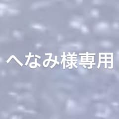 へなみ様専用ページのサムネイル