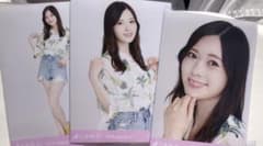 乃木坂46 生写真 コンプ 白石麻衣のサムネイル
