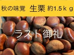 【秋の味覚】栗　生栗　約1.5kg　無農薬　和栗　果物のサムネイル