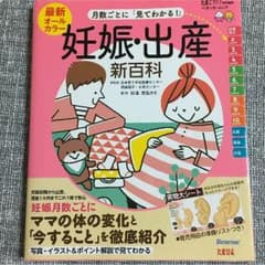 妊娠 出産 新百科のサムネイル