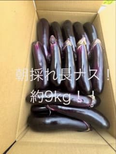 長茄子9kg！朝採れ！！農家直送！！！のサムネイル