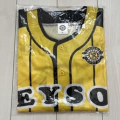 REYSOL イエロー ストライプ シャツ付録付きのサムネイル