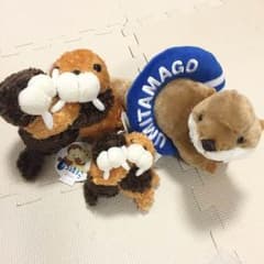 ぬいぐるみ 3点セット かわうそ セイウチ 水族館 限定 福袋 まとめ売のサムネイル