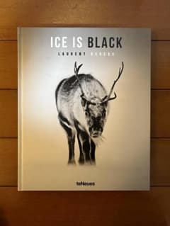 美品】ソ・ガンジュンDVD 写真集 ファーストレター 直筆サイン | Shop