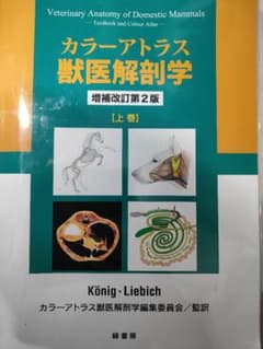 美品】カラーアトラス獣医解剖学 増補改訂第2版 上巻 緑書房 獣医学