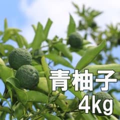 柚子 ゆず 4kg 農薬不使用 静岡県産のサムネイル