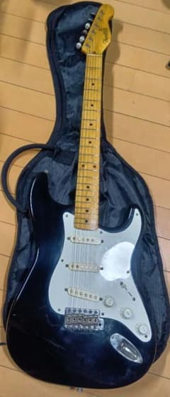 希少】 Burny バーニー PLC-65PP セミアコ ピンク 管BC | Japonya'daki