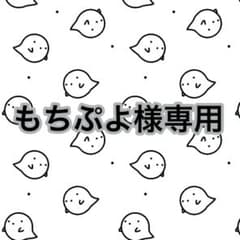 もちぷよ様専用ページのサムネイル