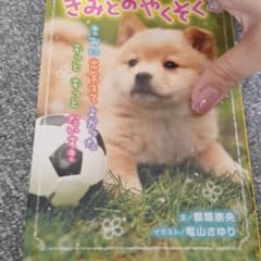 きみとのやくそくのサムネイル