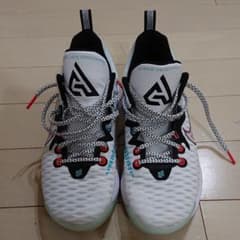 バスケ  バッシュ  NIKEのサムネイル