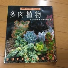 多肉植物 : ユニークな形と色を楽しむのサムネイル