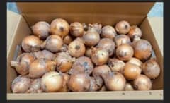 超限定　淡路島産　玉ねぎ　小玉20kg ターザン　農家直送　04のサムネイル
