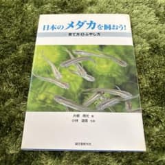 日本のメダカを飼おう！ 育て方とふやし方
