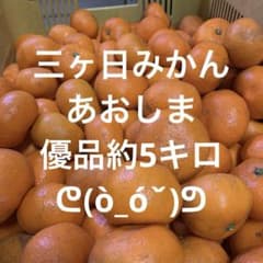三ヶ日みかん　あおしま　優品約5キロのサムネイル