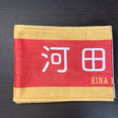 日向坂46 ドレミソラシド 河田陽菜 推しメンマフラータオルのサムネイル