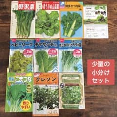 珍しい葉物野菜入り 10種類セット 野菜の種のサムネイル
