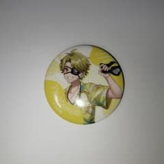 たっつんサマーランド缶バッチ32個 カラフルピーチたっつんサマーランド缶バッジ