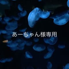 アイロンワッペンのサムネイル