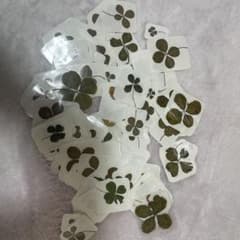 ドライフラワーのサムネイル