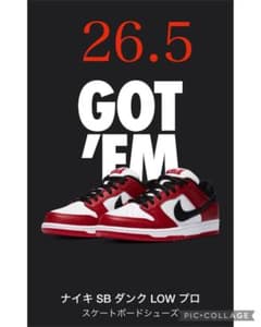らんここ様専用　NIKE SB DUNK Low Pro  ナイキ　ダンクのサムネイル