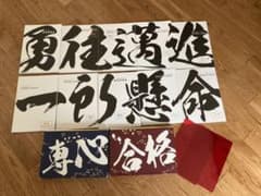 未使用⭐︎ 佐鳴予備校　‘20高校入試　典型問題集のサムネイル