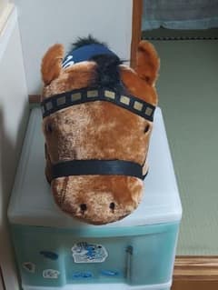 プッチ様 リクエスト 2点 まとめ商品