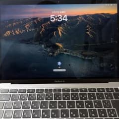 MacBook Air (M1, 2020)充電回数22回SSD256GBのサムネイル