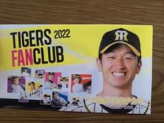 阪神タイガース 2022 ファンクラブ クリアファイル - メルカリ