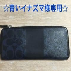 青いイナズマ様専用☆購入禁止！のサムネイル