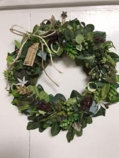 ボタニカルリース　多肉植物のサムネイル